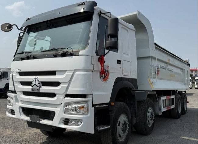 Used Howo 371 Large Pump Engine Dump Trucks